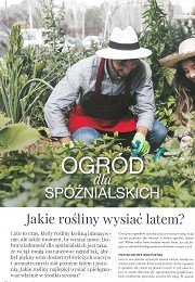 powiększ zdjęcie: Przydomowe ogródki warzywne: Proste sposoby na udane uprawy - Dobry Dom ...